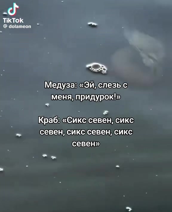 @yurachka__kr