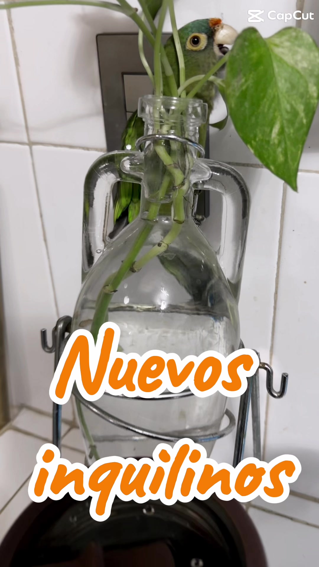 @Johan Mart&iacute;nez