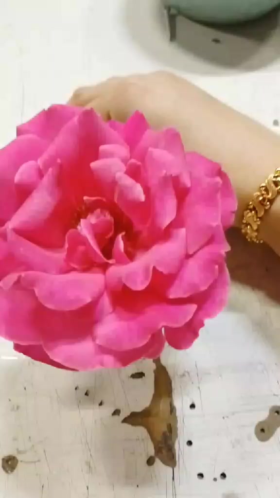 @🍎ERKA 💋Qız🤞🌼🌼🌼🌹🌹