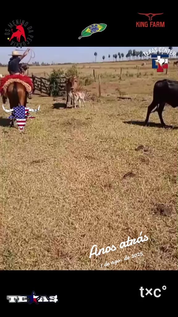 @EDSON.BENEVIDES🤠🍃