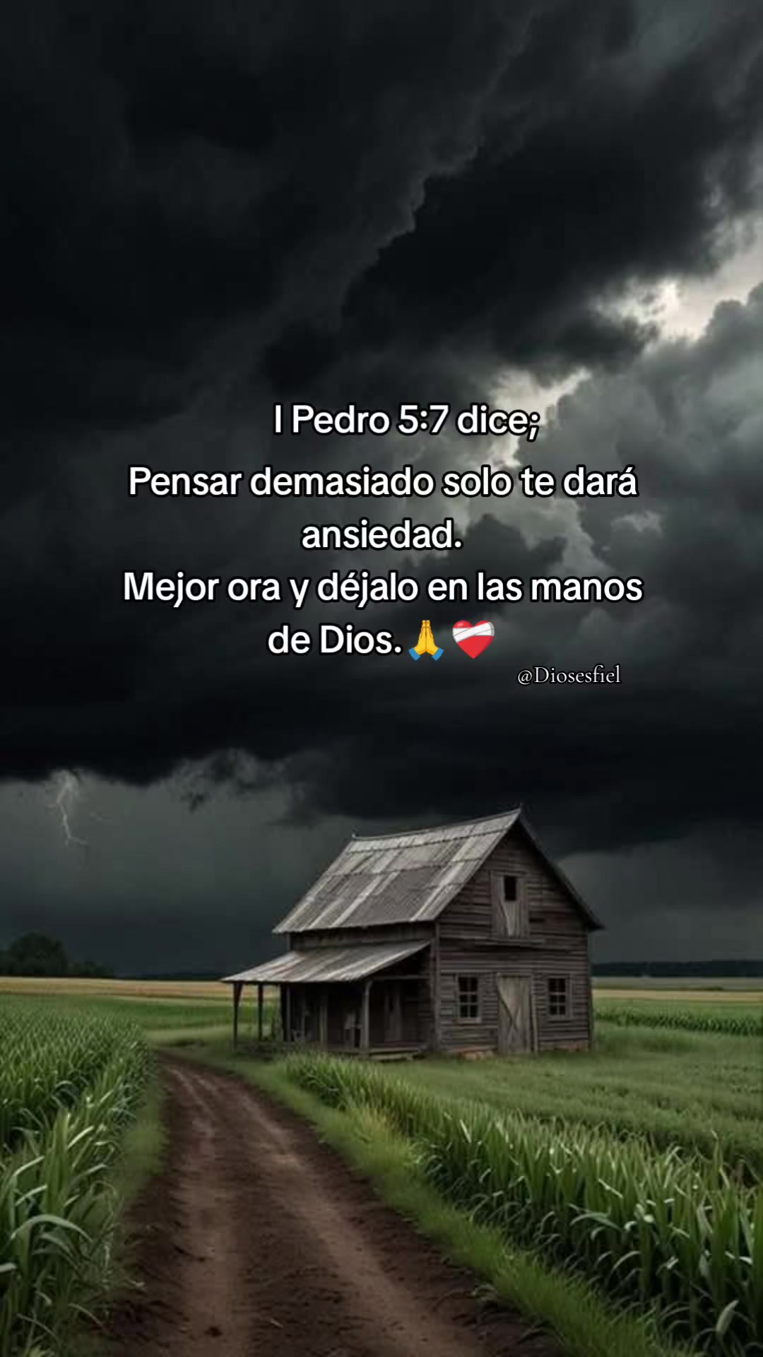 @Sarita