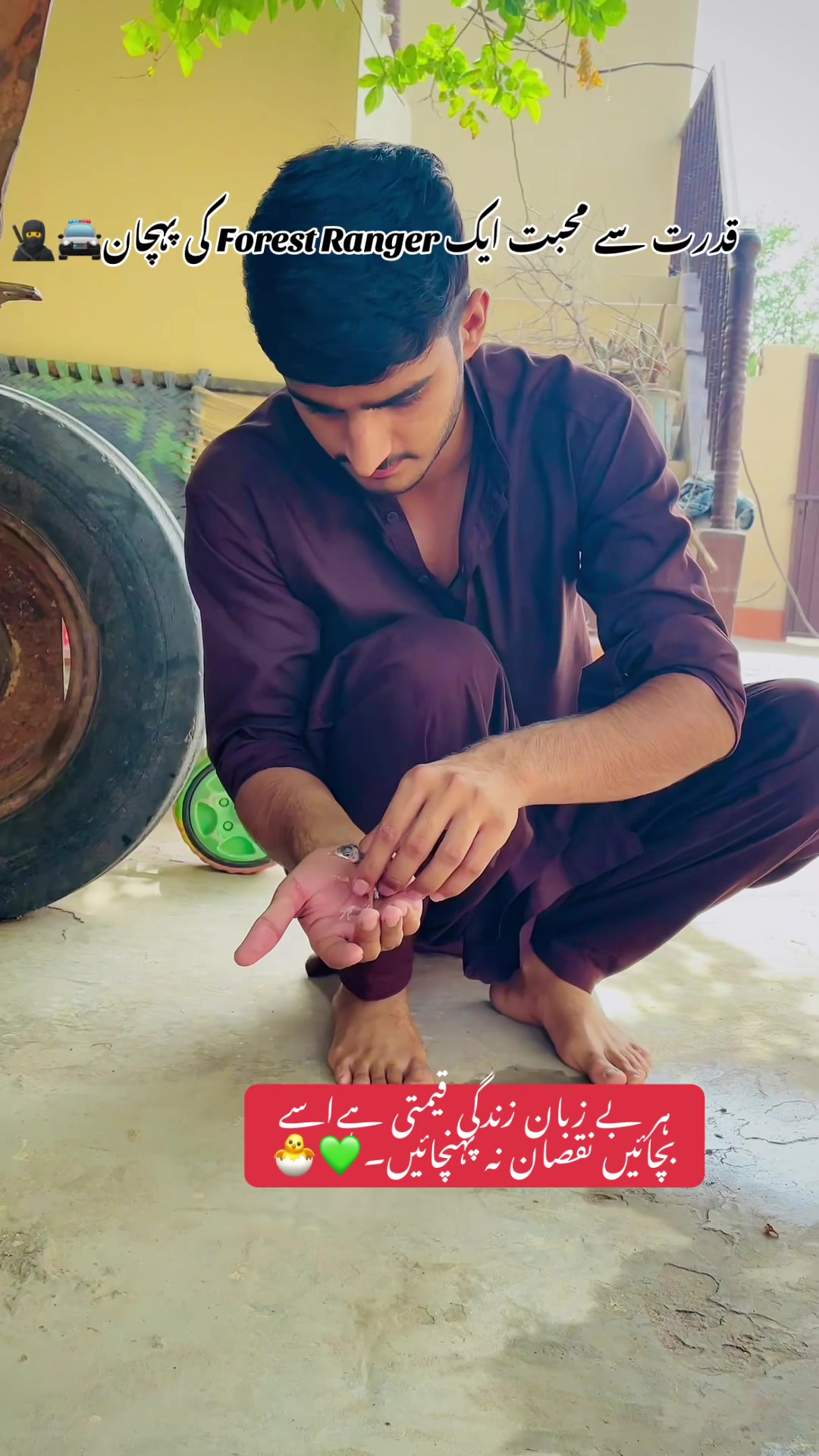 @Hussain Sukhera