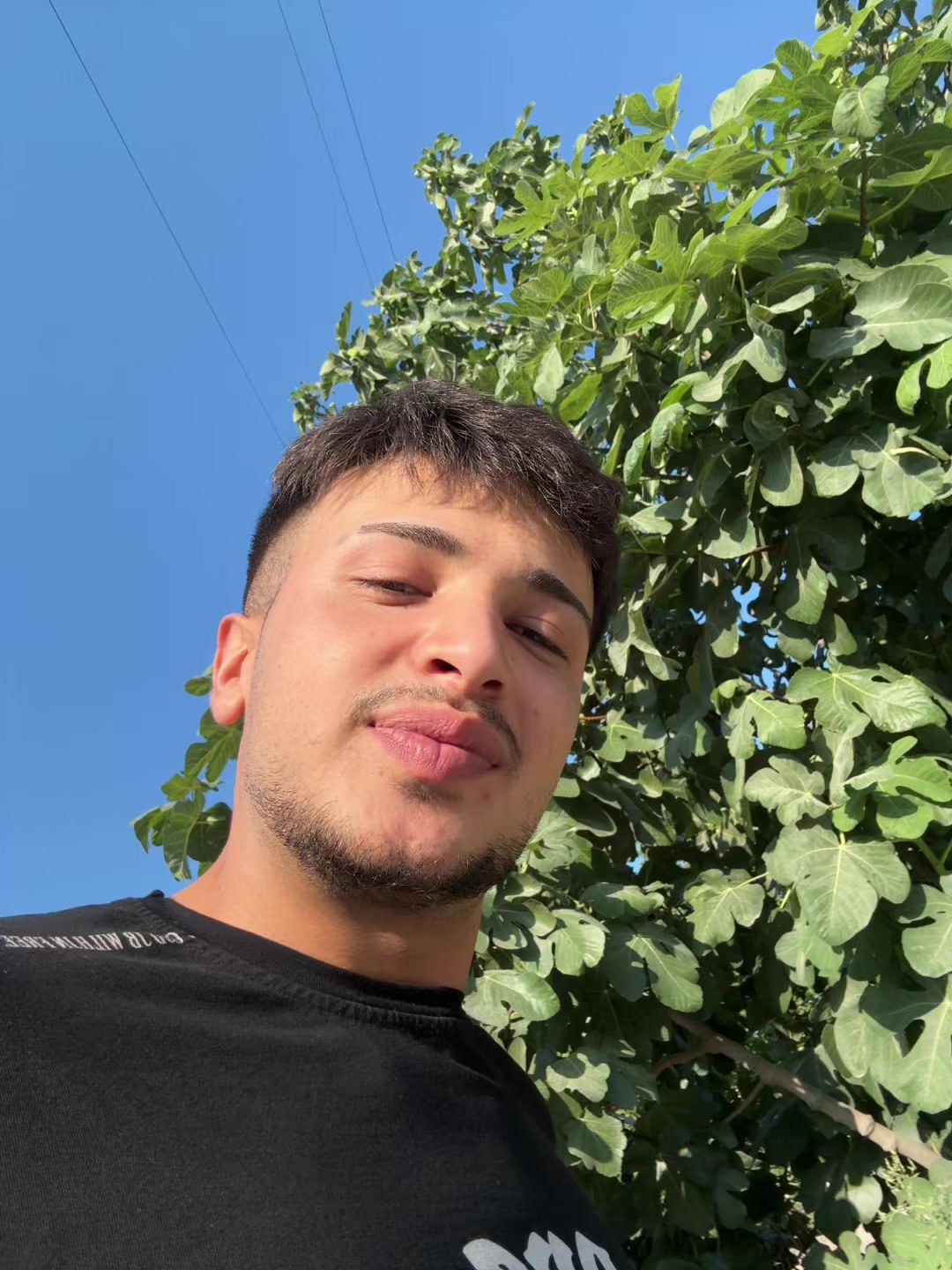 @1bunyamn