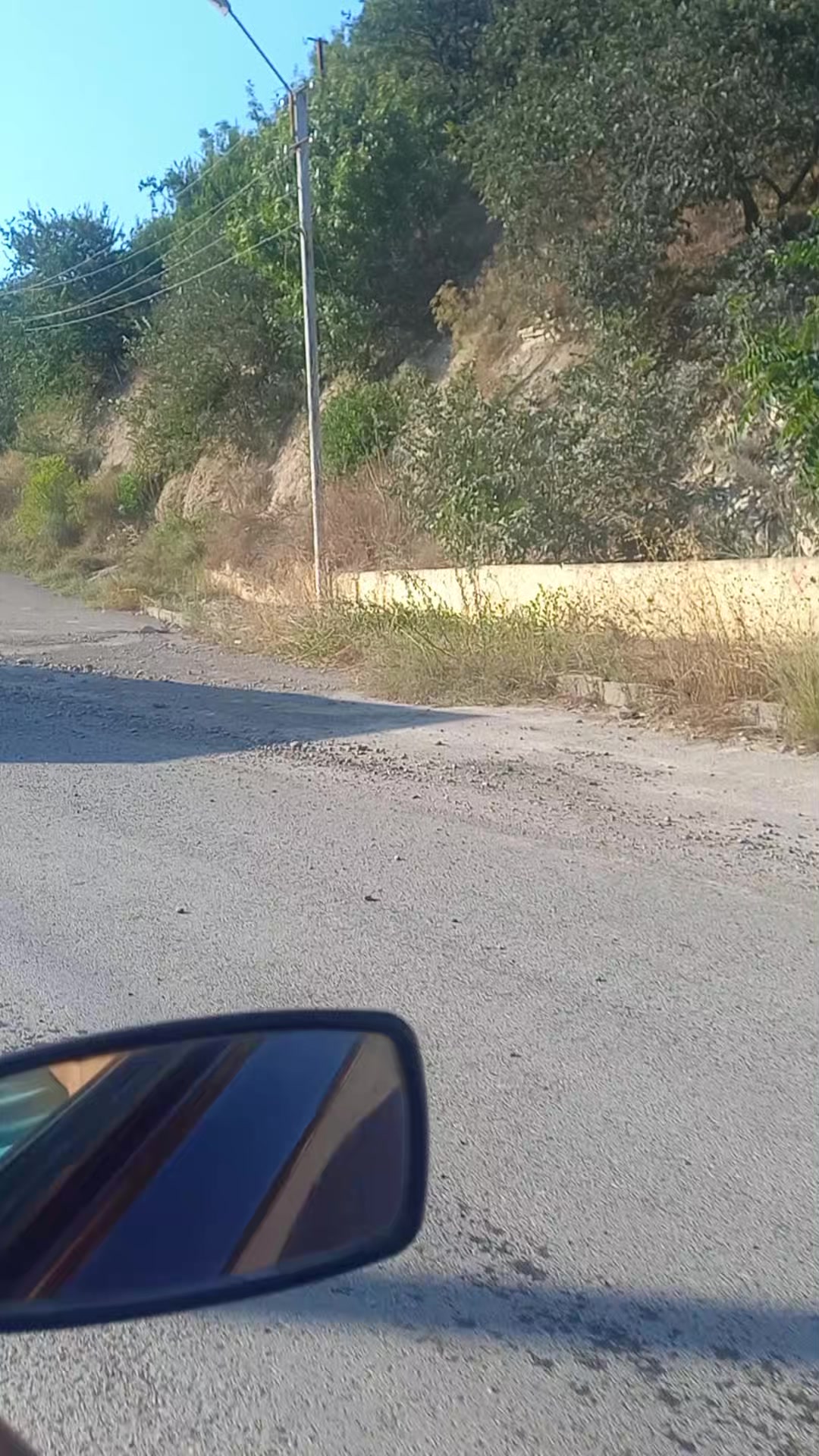 @TERANE NESİROVA