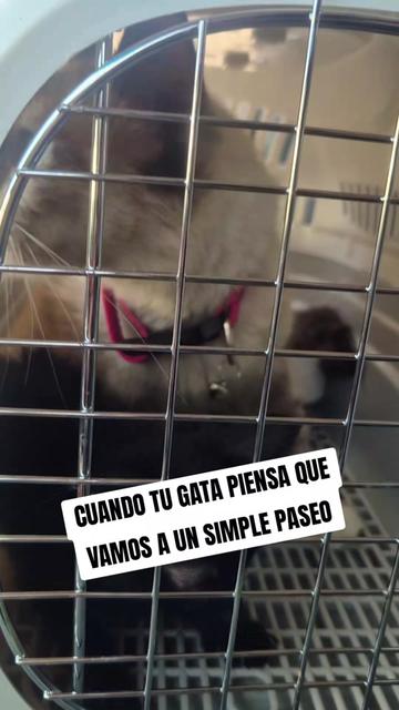 @LUPITA MARTINEZ 😻