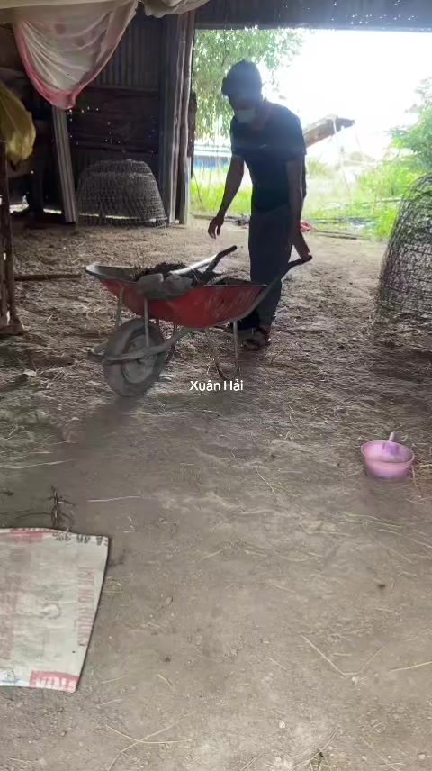 @Hải Râu Tay Chân Giả