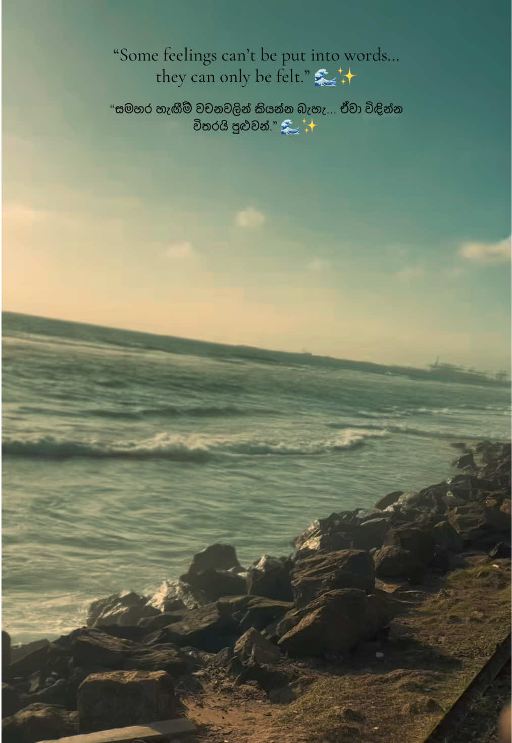 @☘️⚡️ChAmOd 🍀⚡️