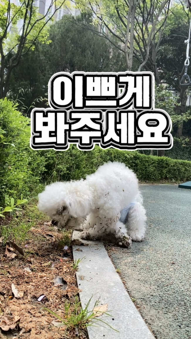 @한조니 Shelly