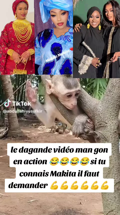 @Alice des merveilles