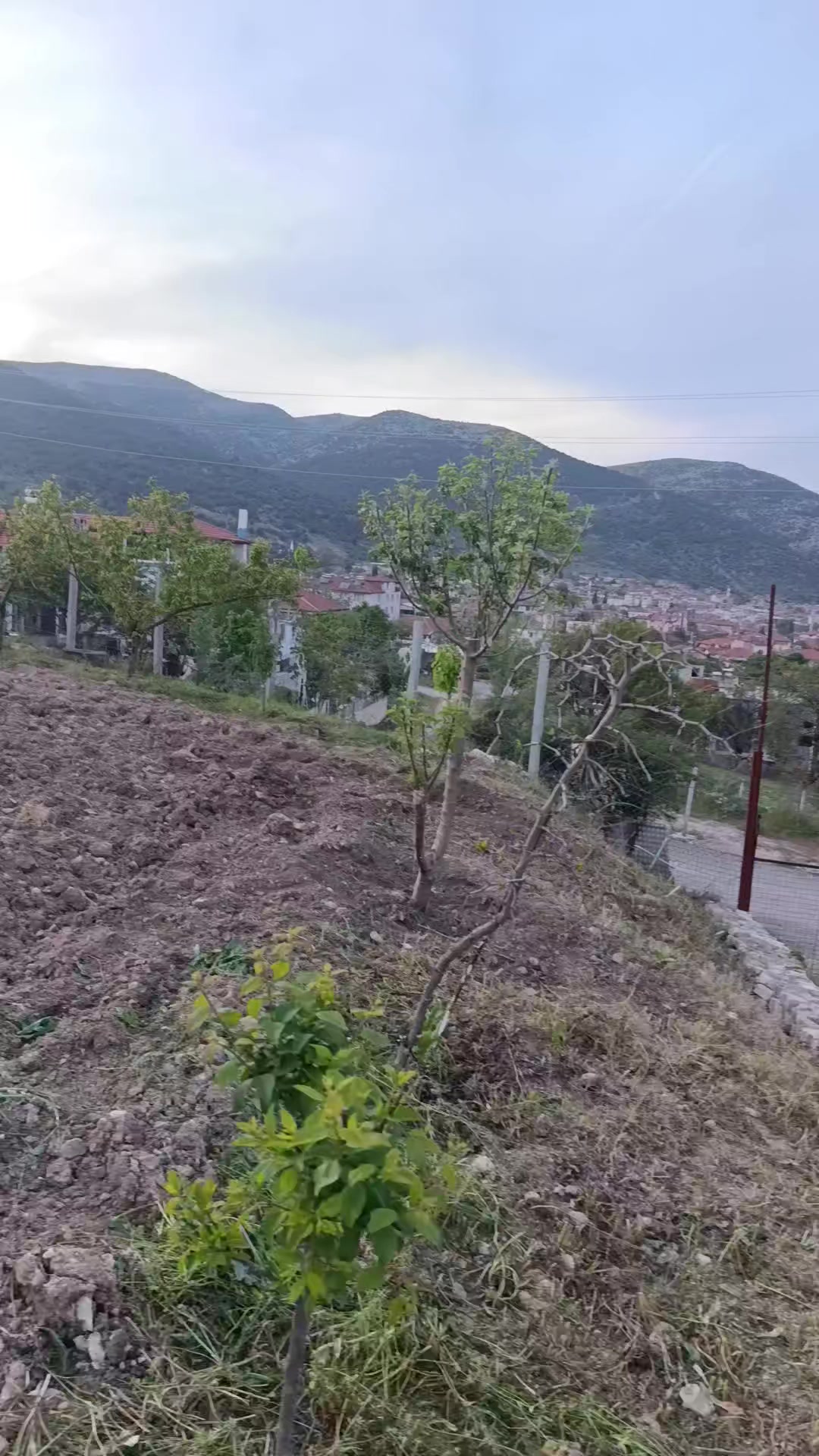 @Mehmet Gündaş