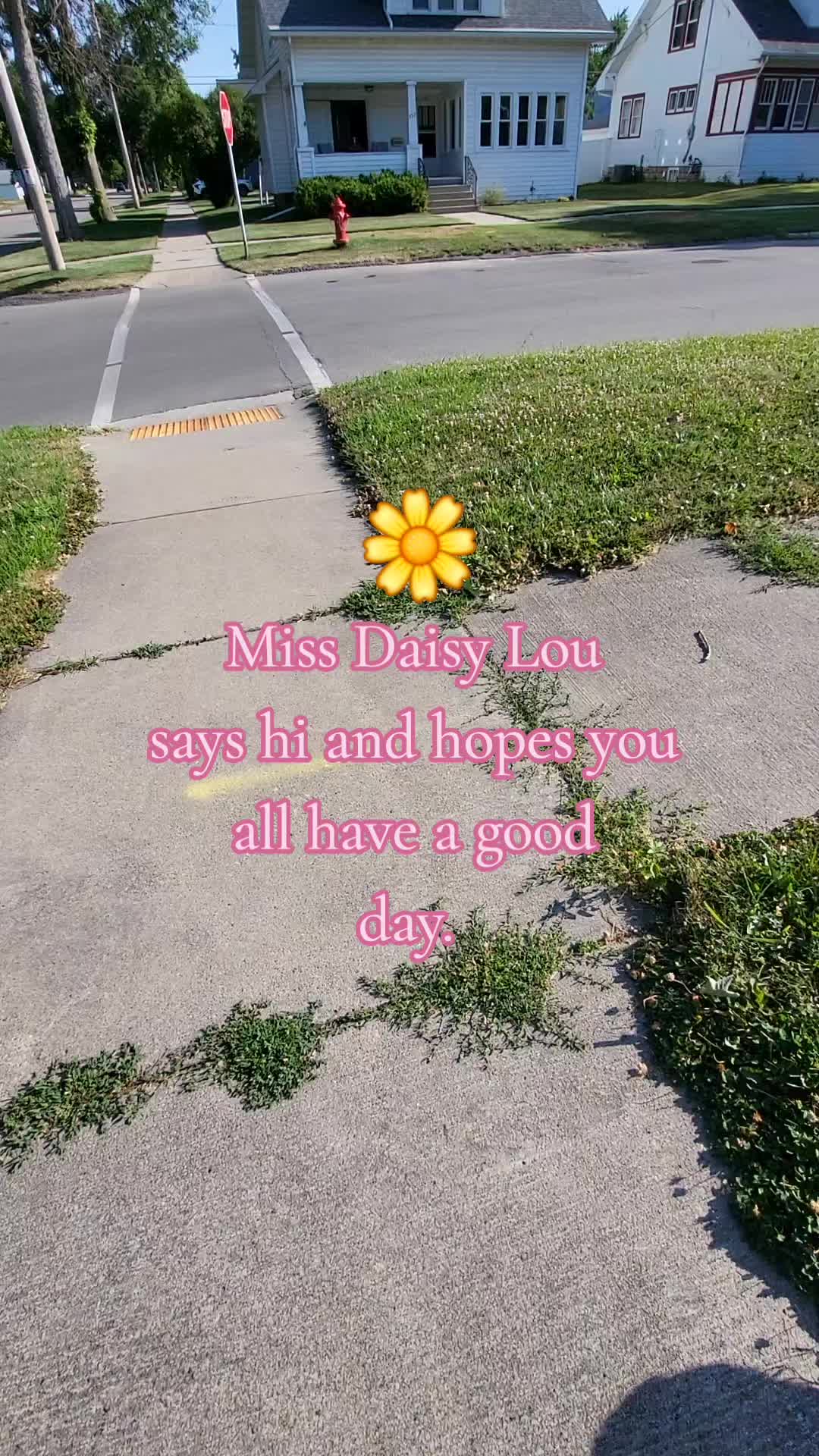 @💚kellymarie💚117💚