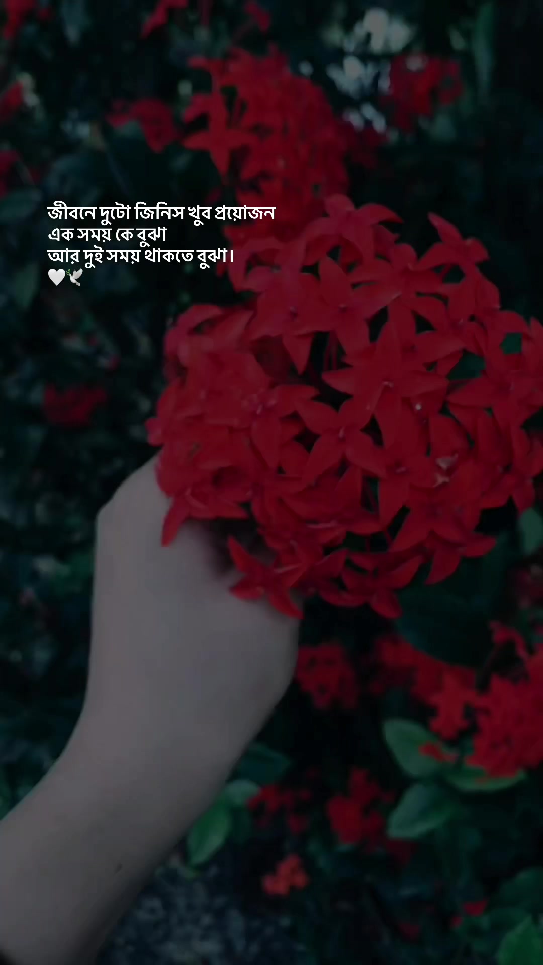 @KoliKhanđĒ´