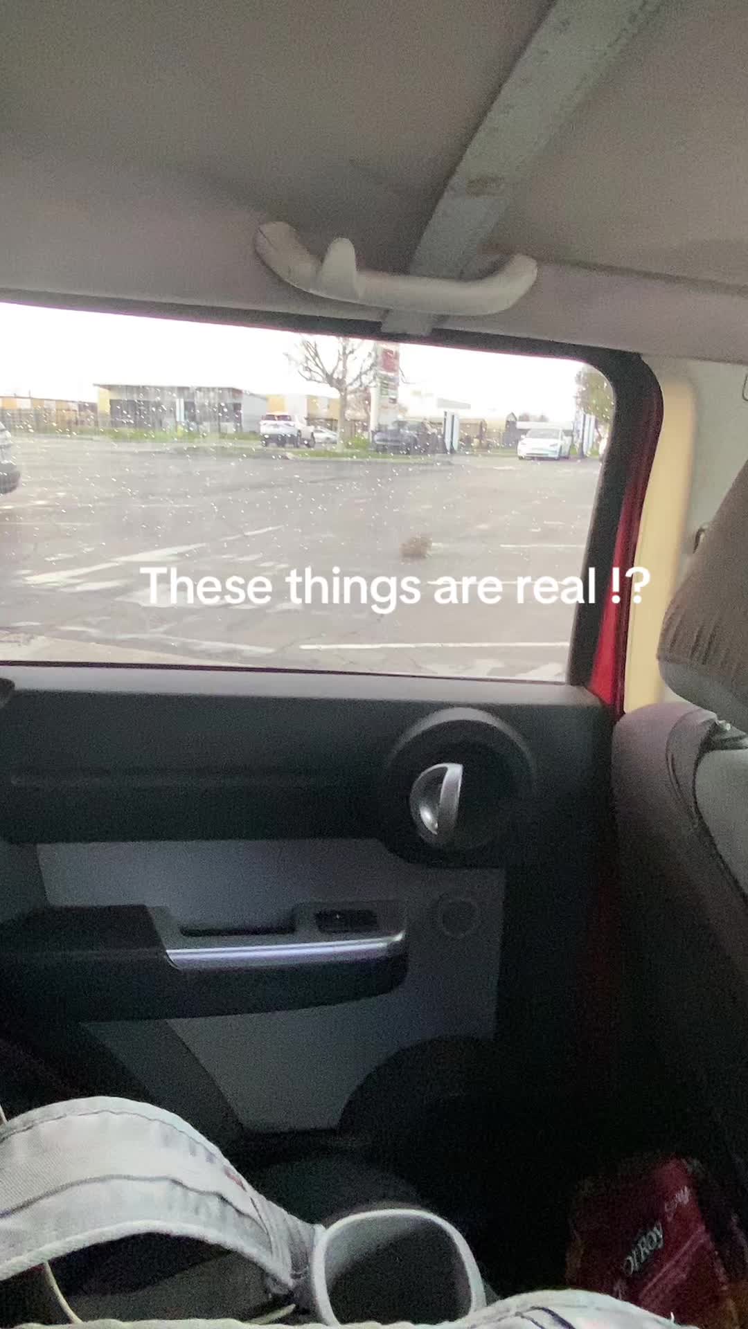 @your_typical_bendy_fan5