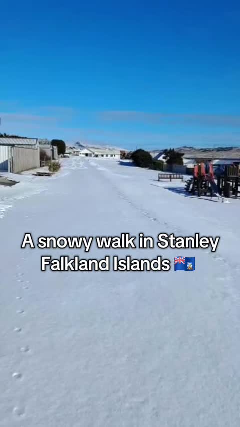 @🇫🇰Roxy in the Falklands🇫🇰