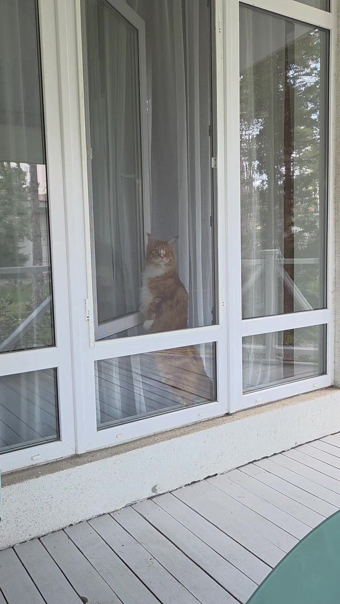 @Олена Губа