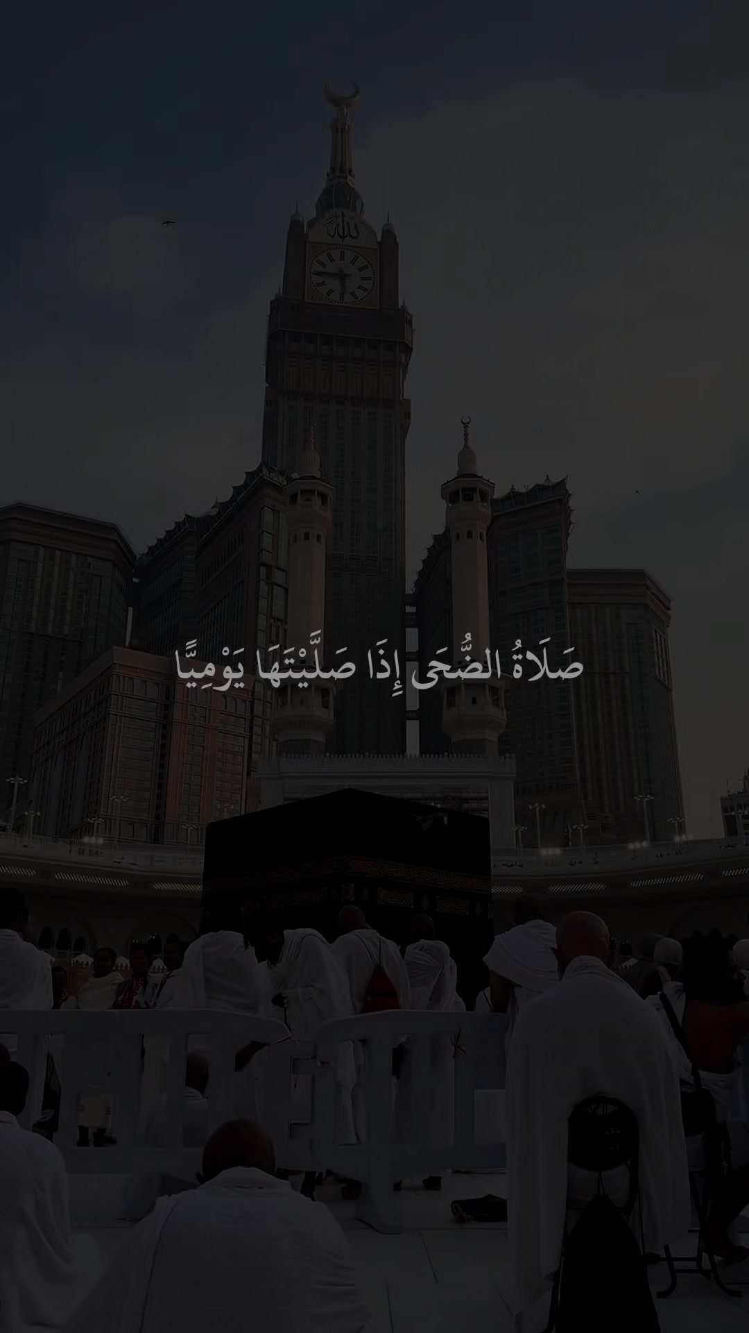 @❀ مُــسلم || 𝐌𝐔𝐒𝐋𝐈𝐌 ❀
