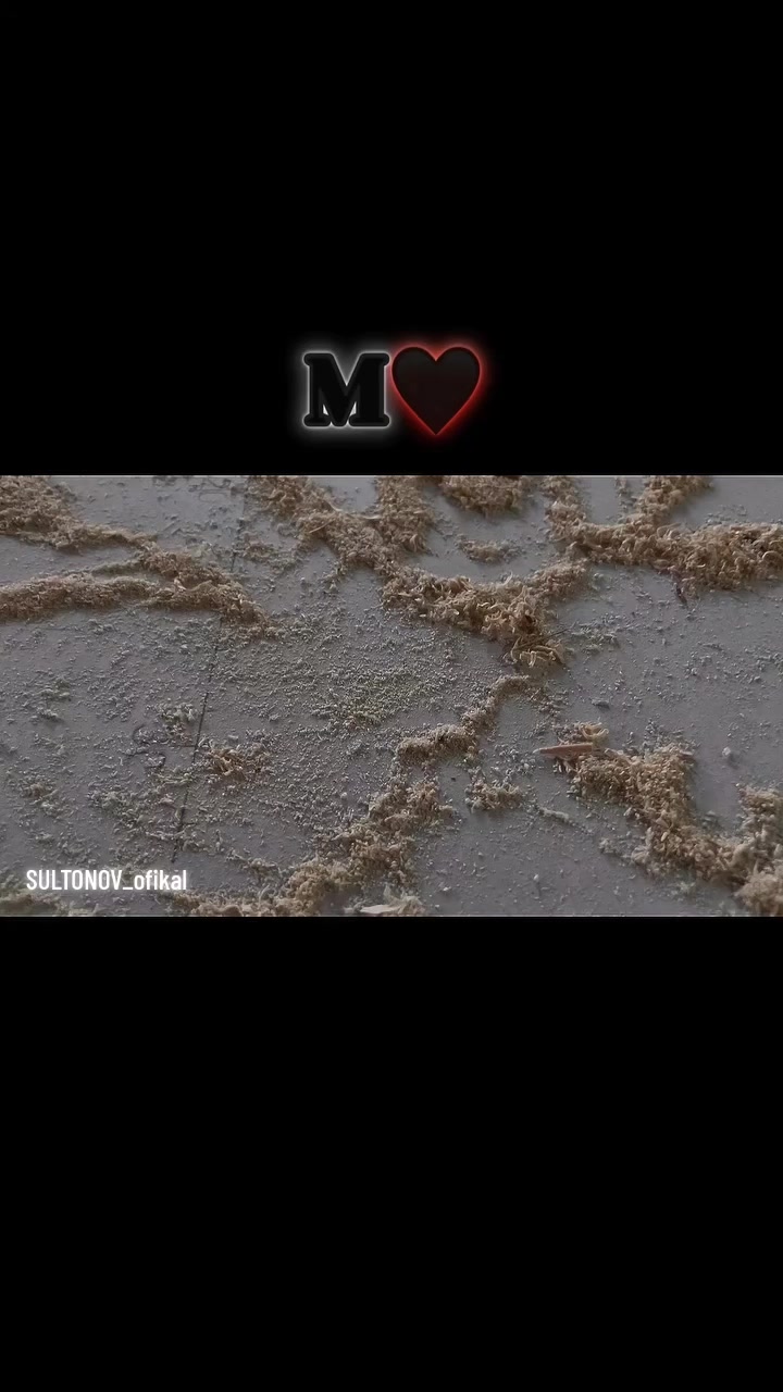@KuNCHiQaRIsKi🇺🇿🇺🇿💯