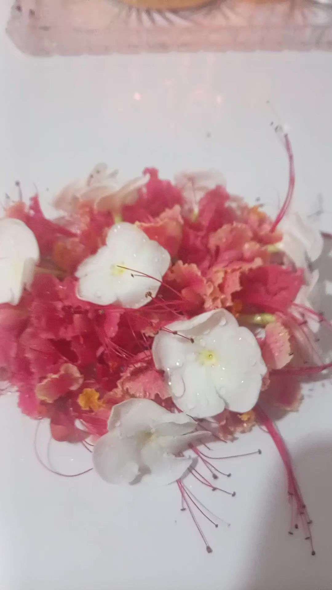 @සබ්බ දානං ධම්ම දානං ජිනාති