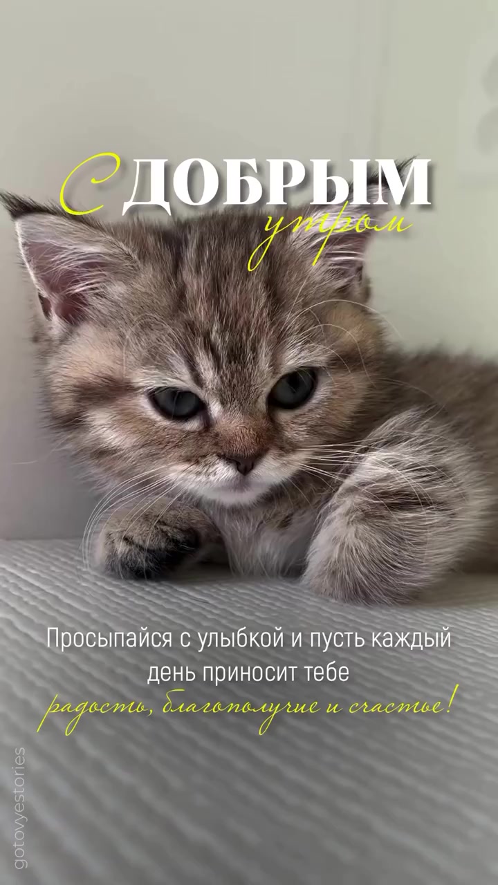 @Oksana Fukleva