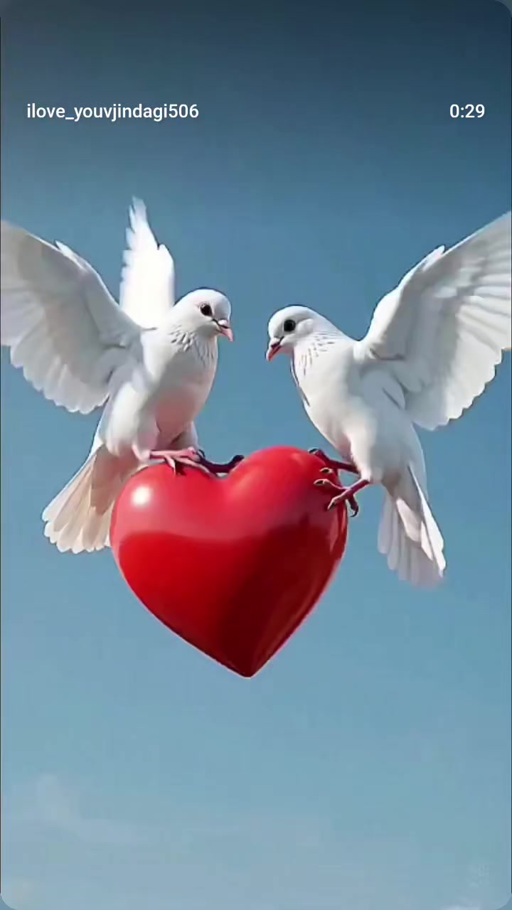 @Binod Ram