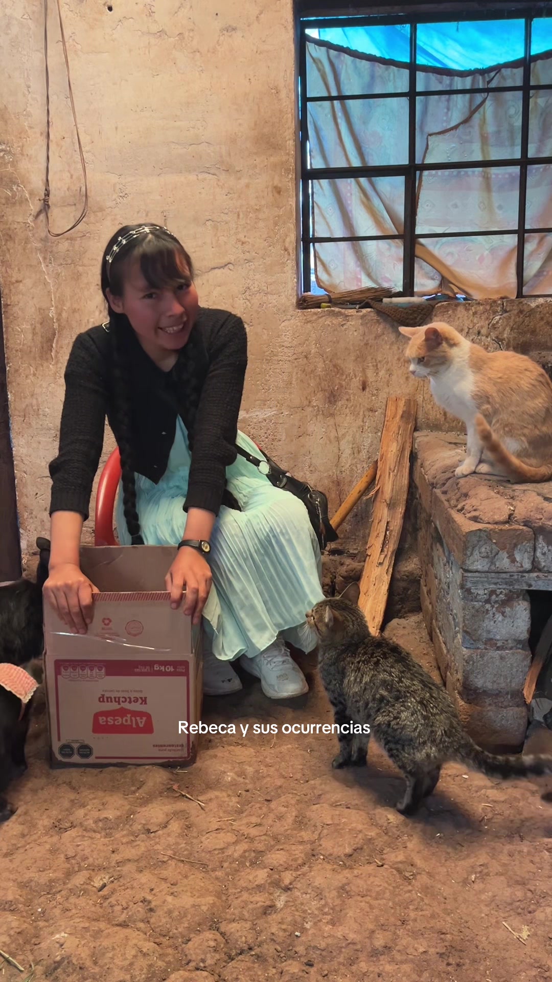 @🐈Rebeca y sus ocurrencias