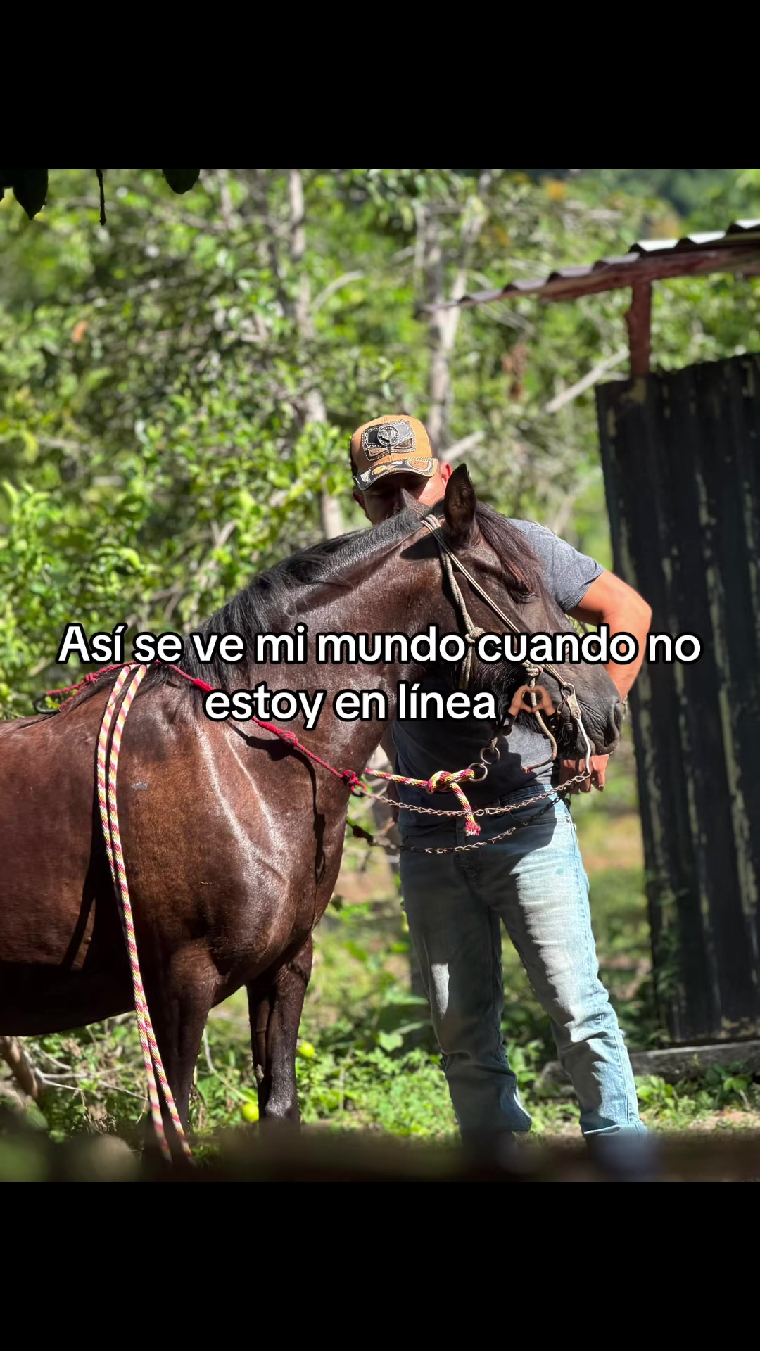 @Oscar LM