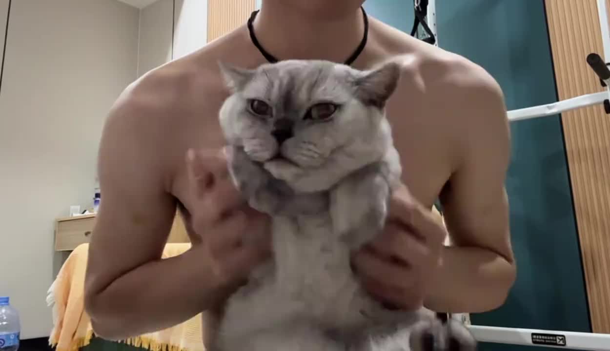 @๐ฐ๐๐๐๐๐๐๐๐ฅ