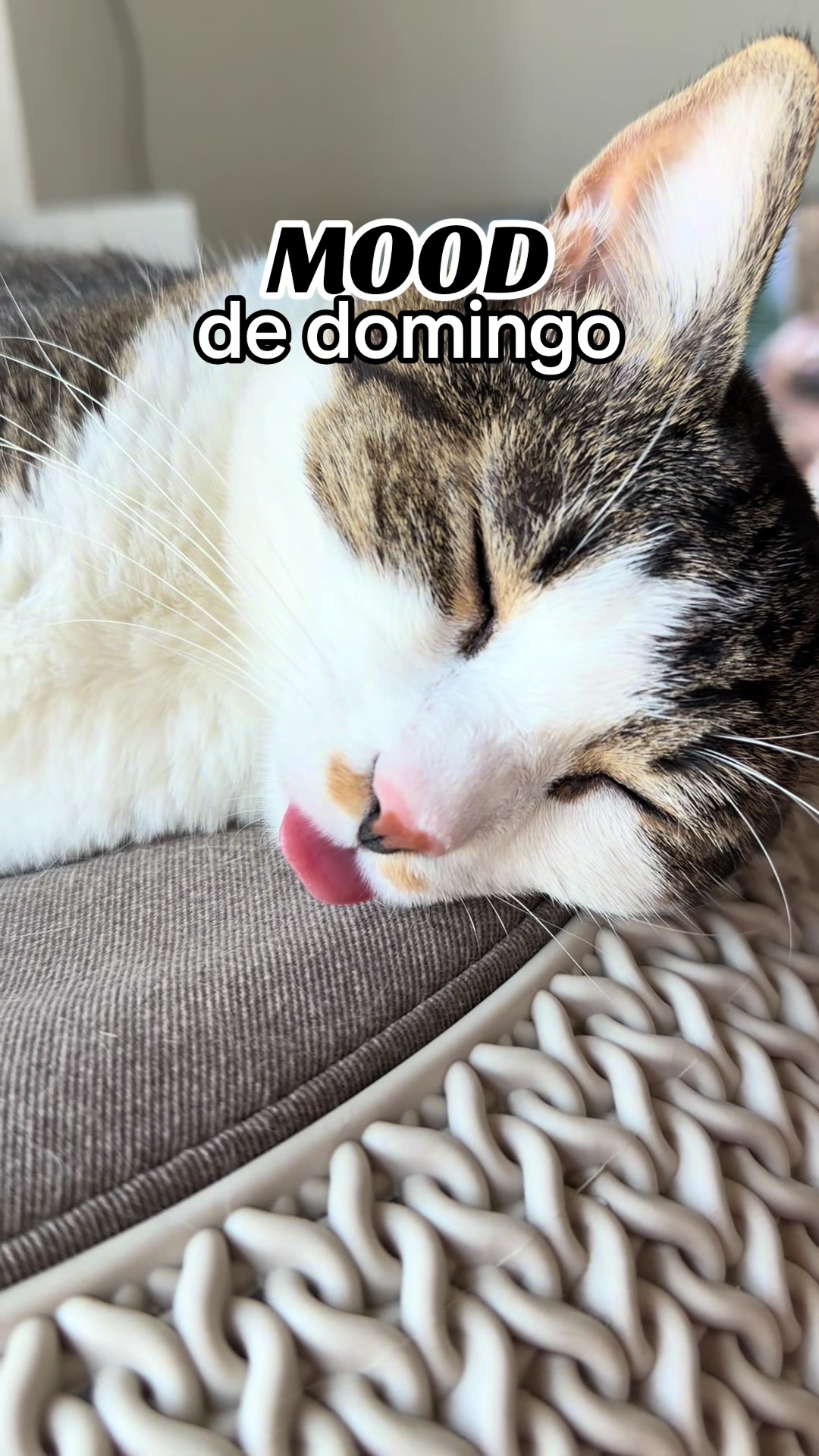 @Raquel Olvera