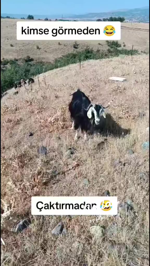 @koçer.12