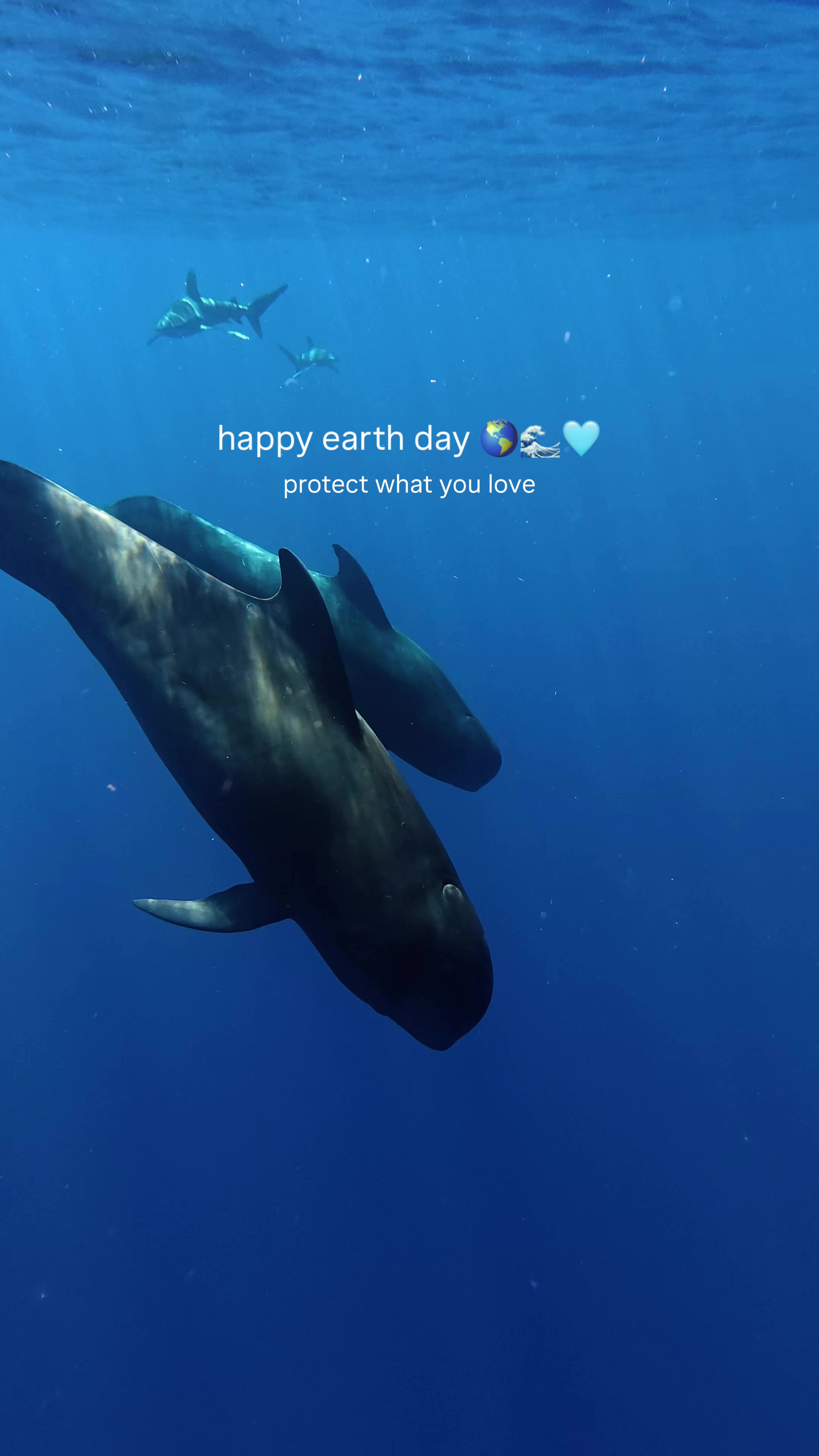 @freediver_chiara