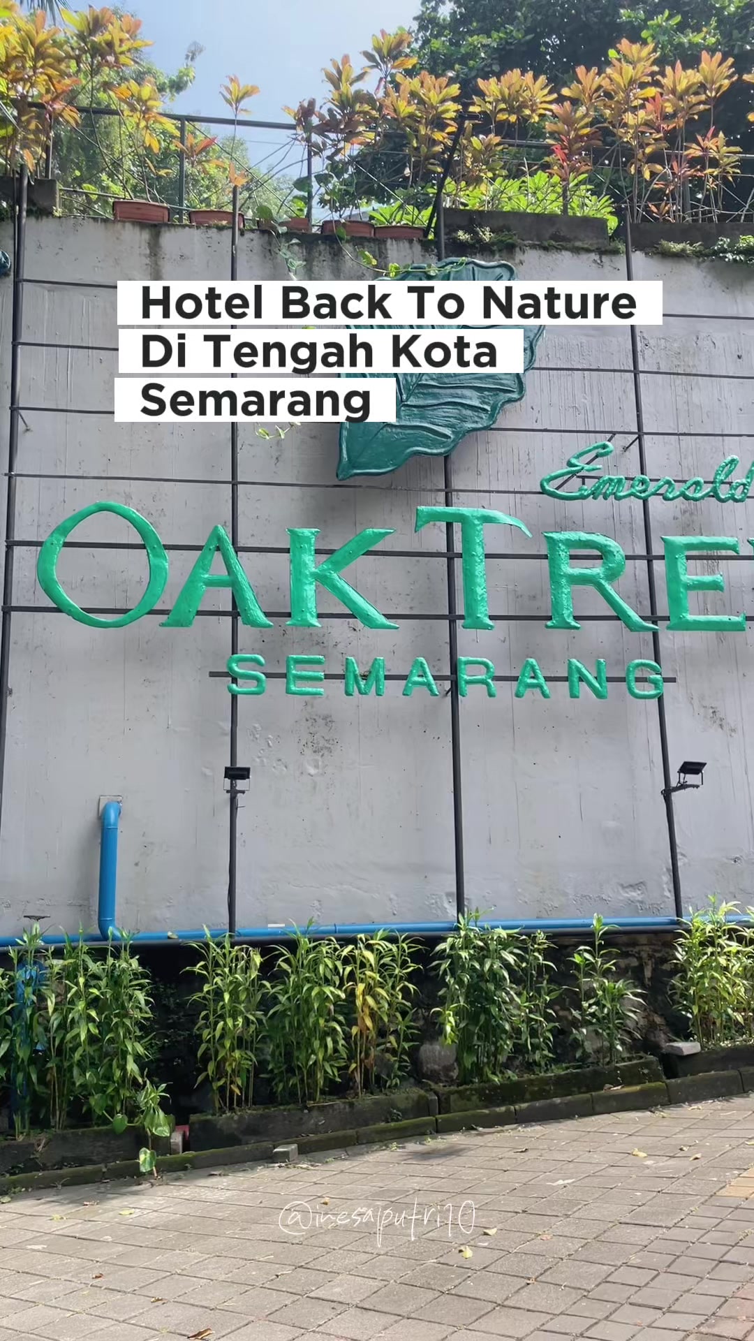 @Ines | Suka Dolan Suka Jajan
