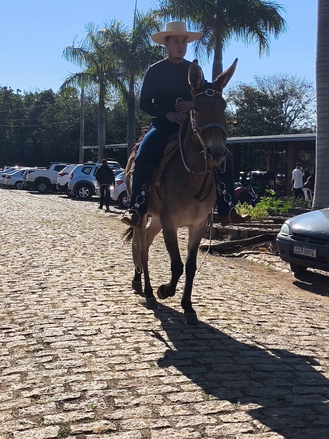 @Patrão da Pesca