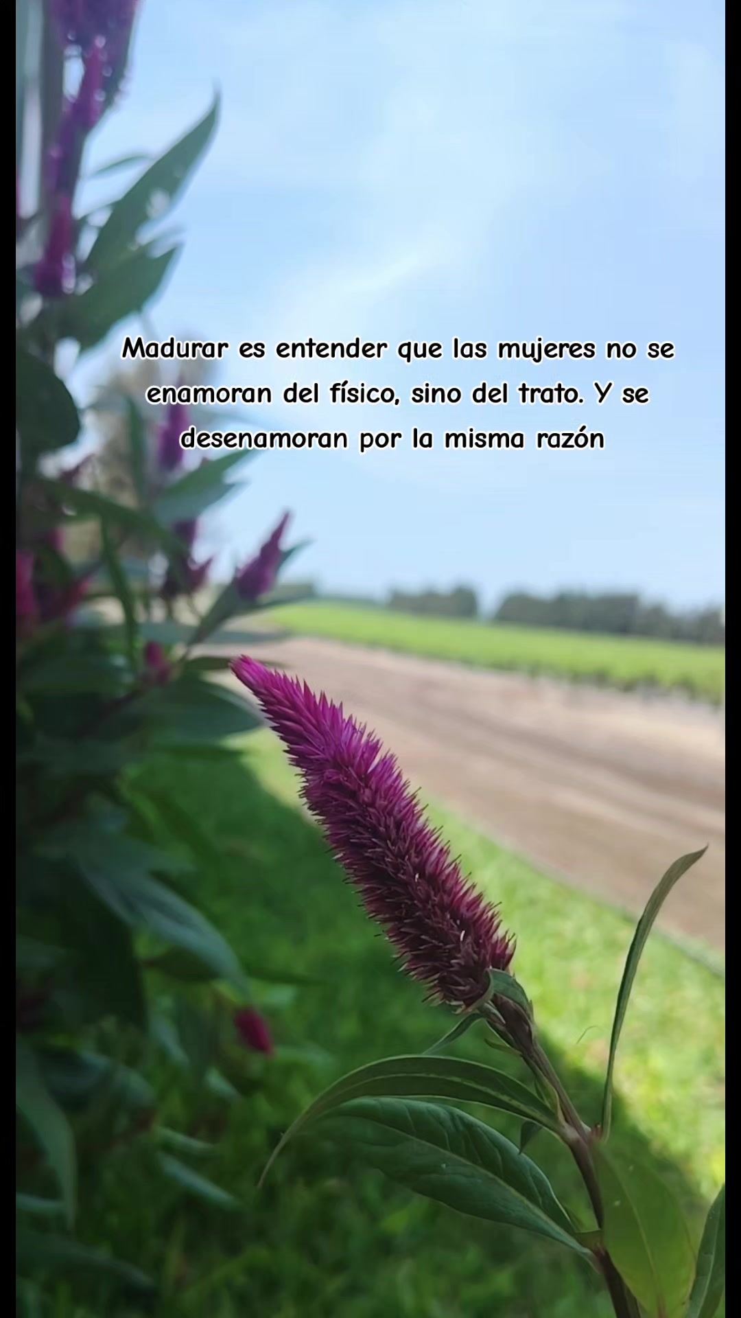 @🦋 Nery Villanueva ❤️💫