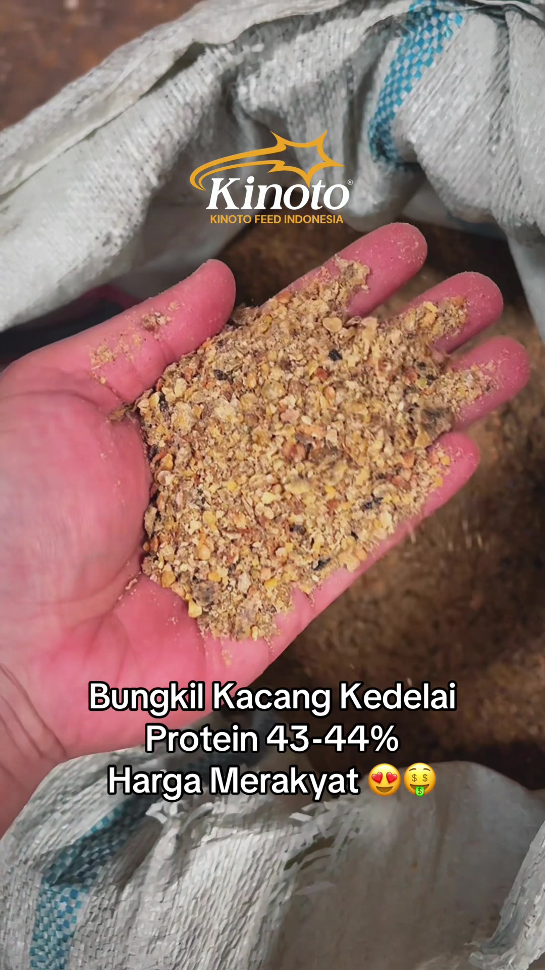 @CV. KINOTO FEED INDONESIA