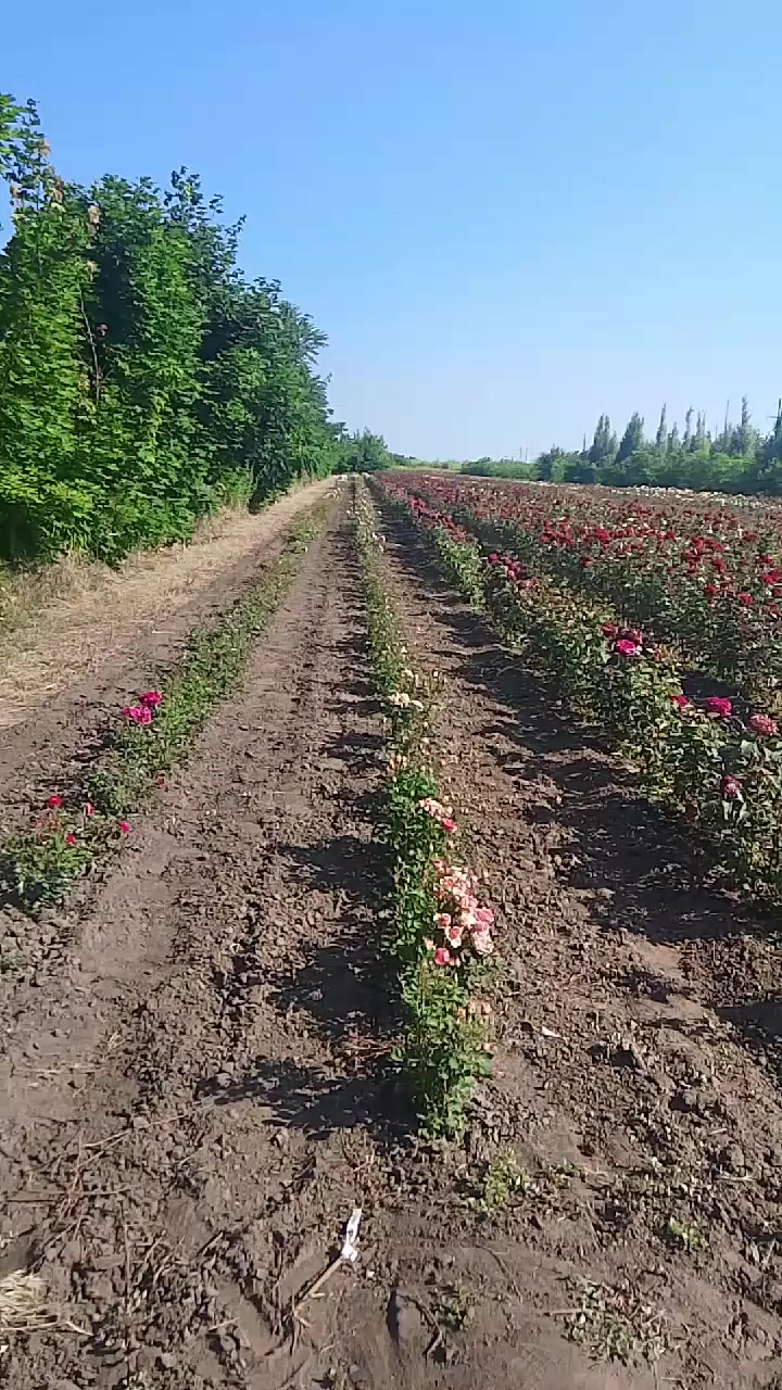 @Оля
