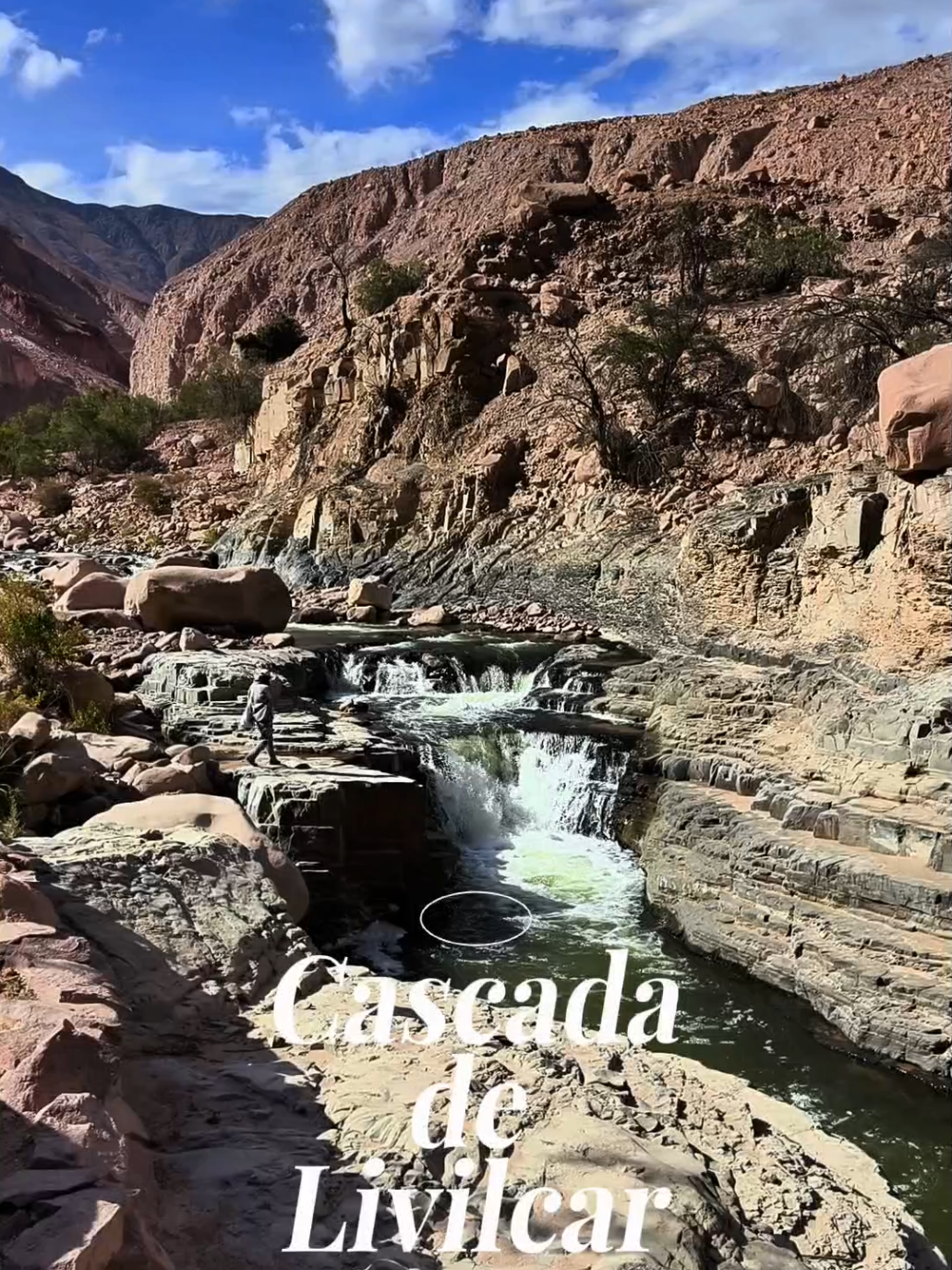 @Arica es Bac&aacute;n