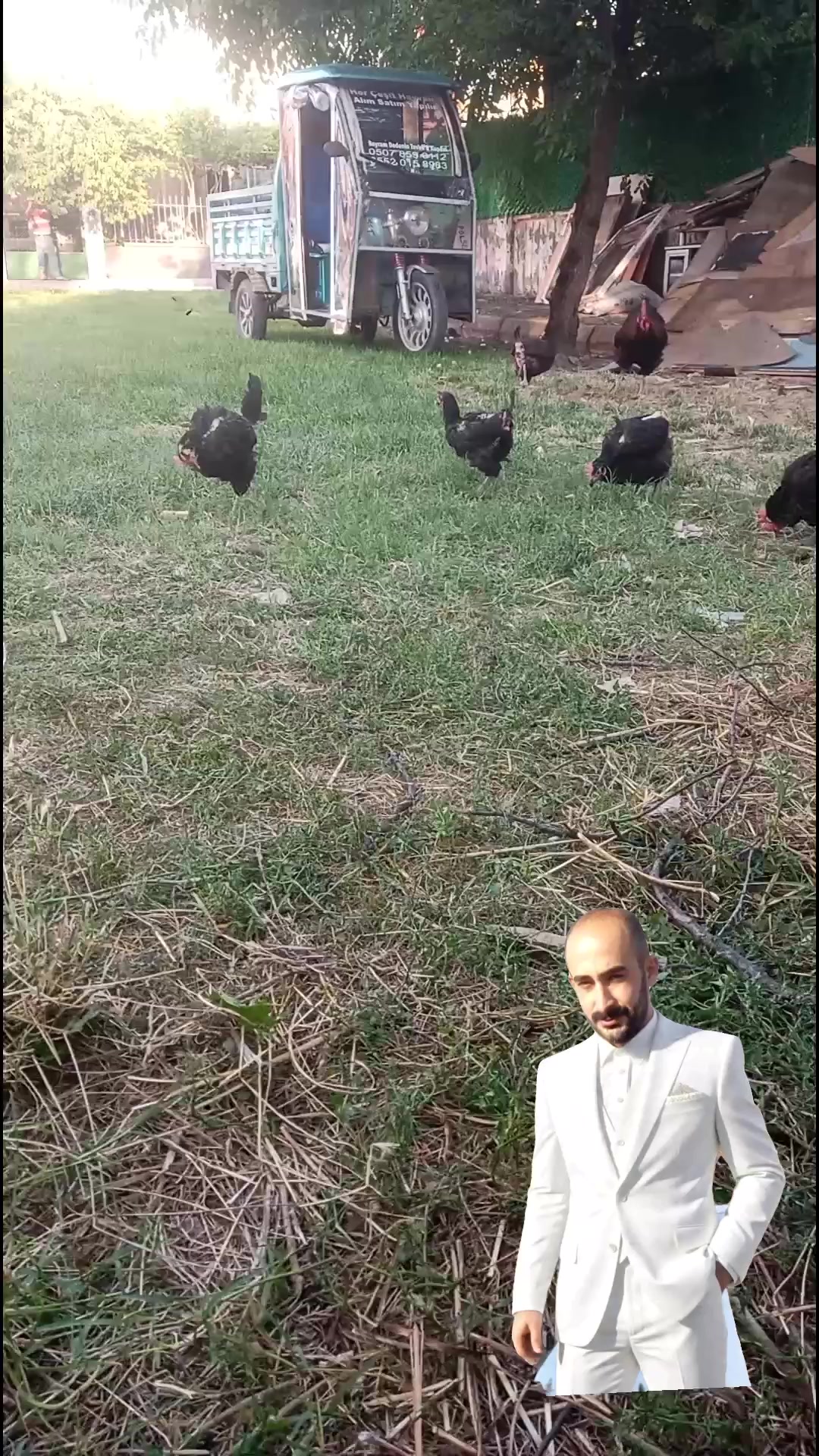 @nefretimsin dünya