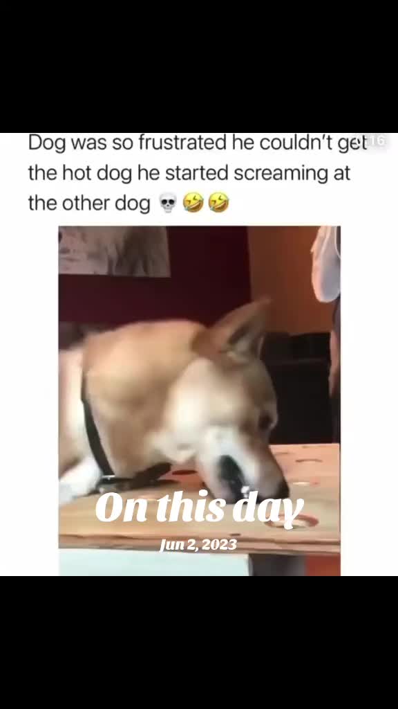 @Pass The Laughs
