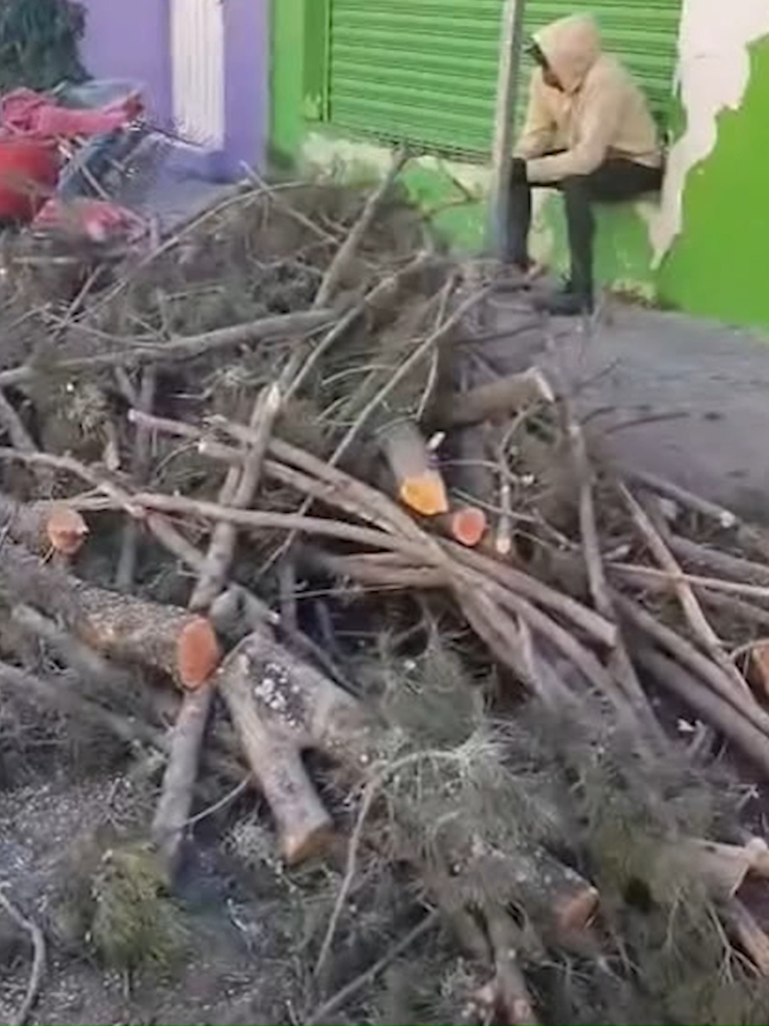 @Meganoticias Tehuacán