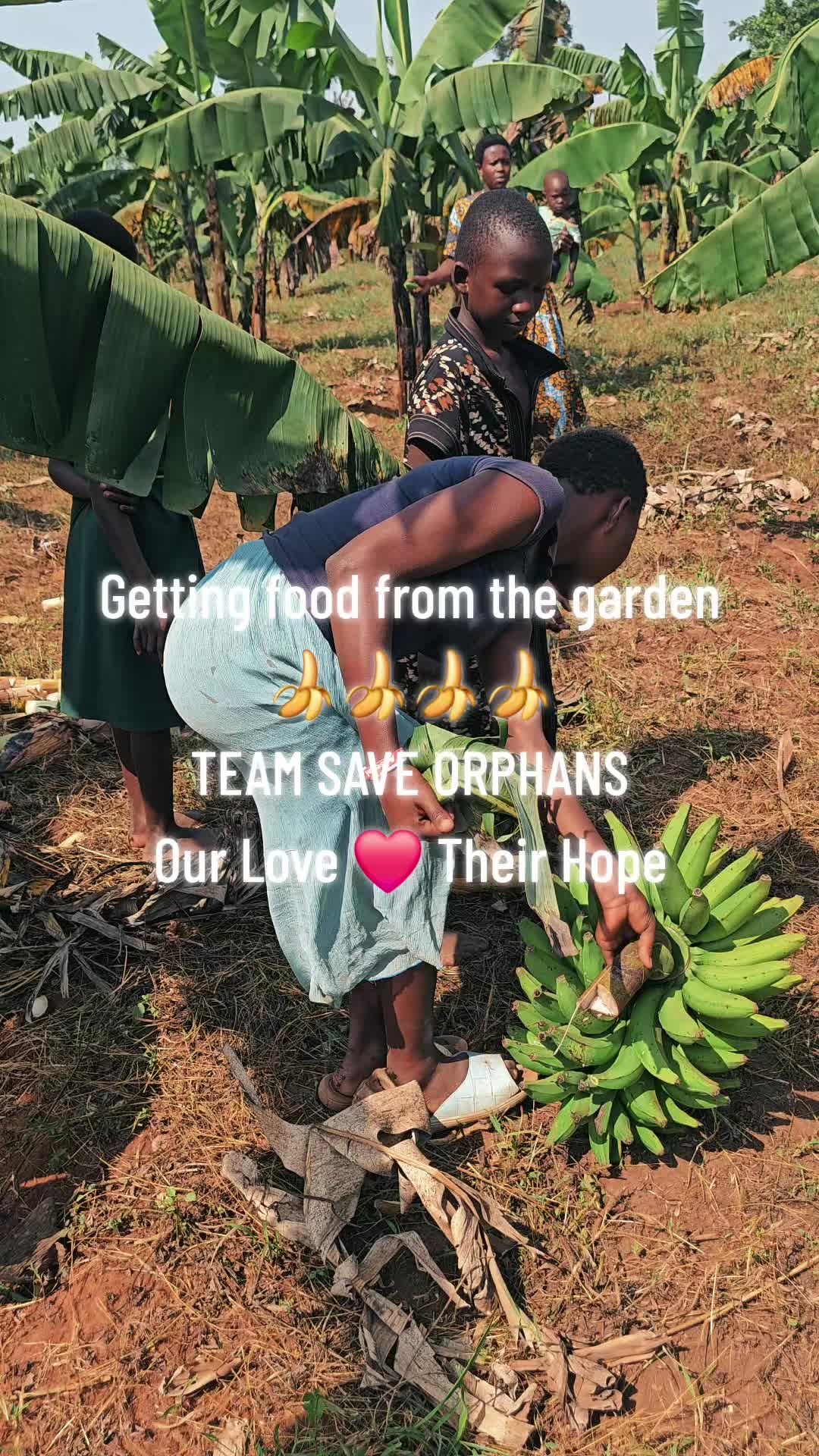 @TEAM SAVE ORPHANS