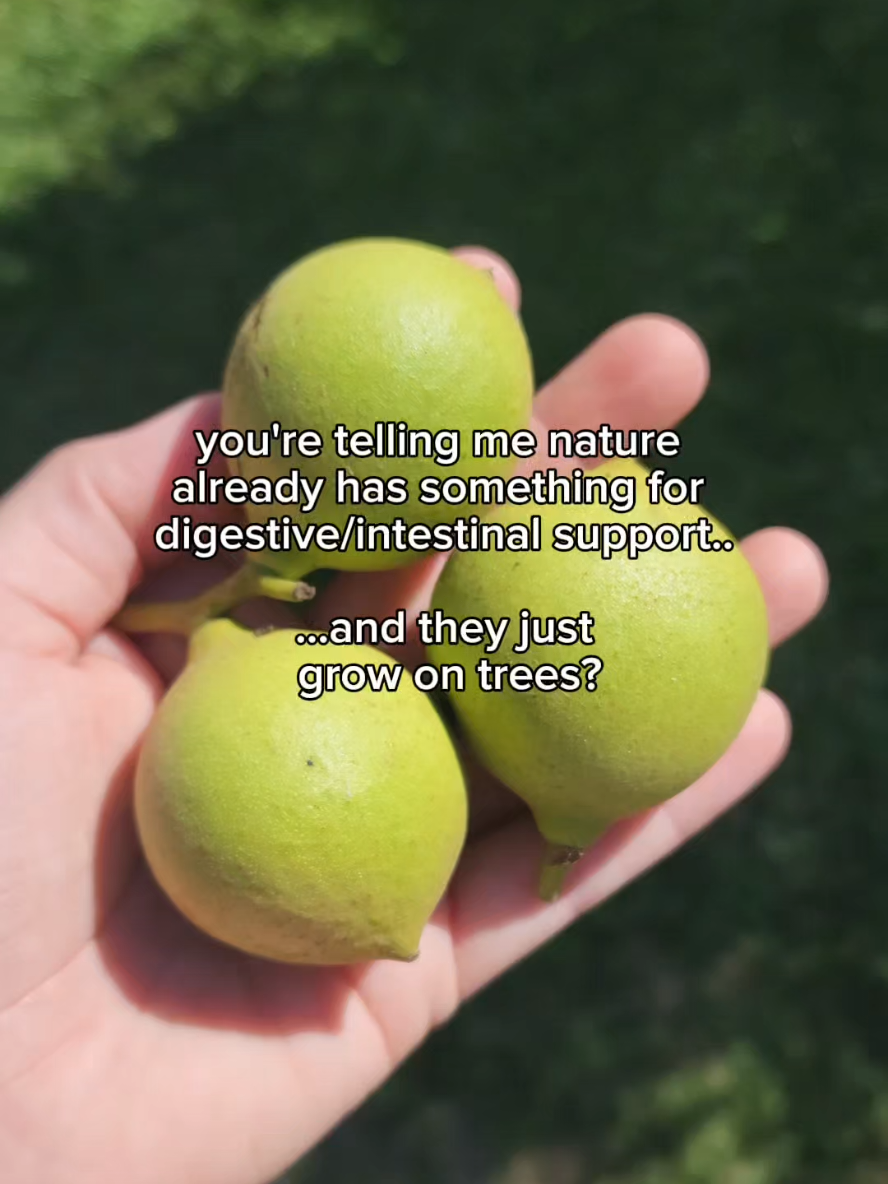 @The Garden Cure Company