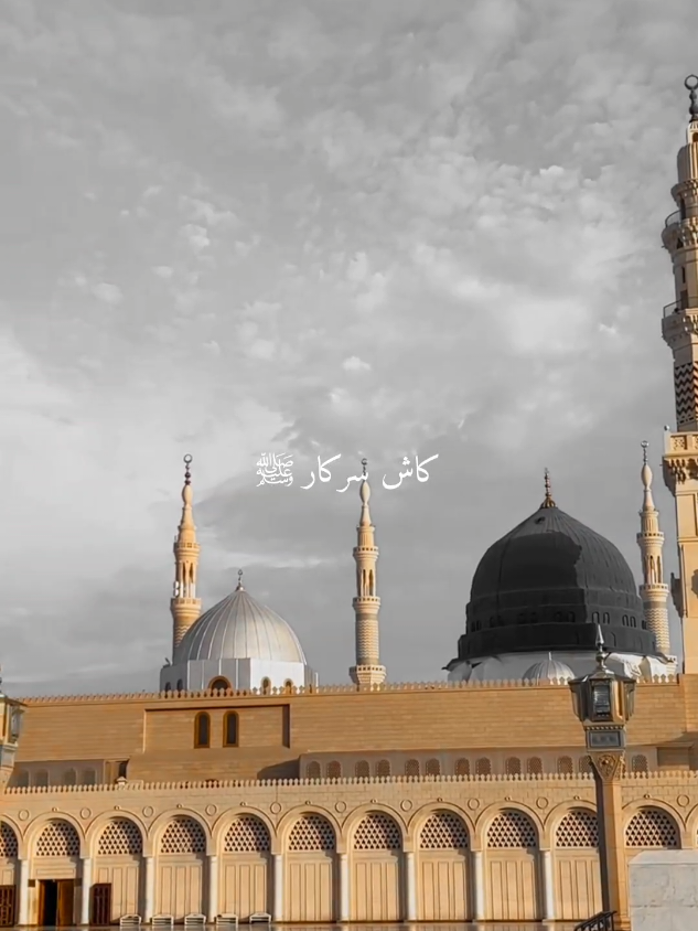 @꧁♛ 𝑧𝑎𝑟𝑖𝑖𝑠𝑡𝑜𝑟𝑖𝑒𝑠 ♛꧂