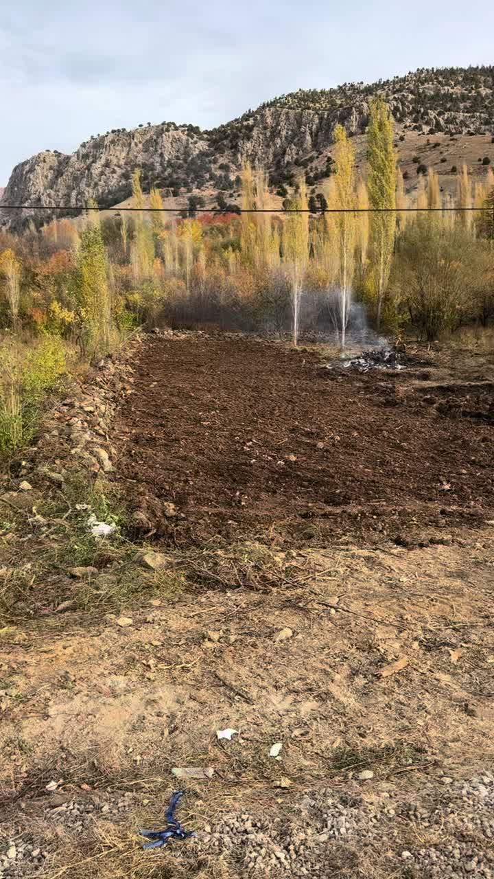 @Ali cihan Bengisu