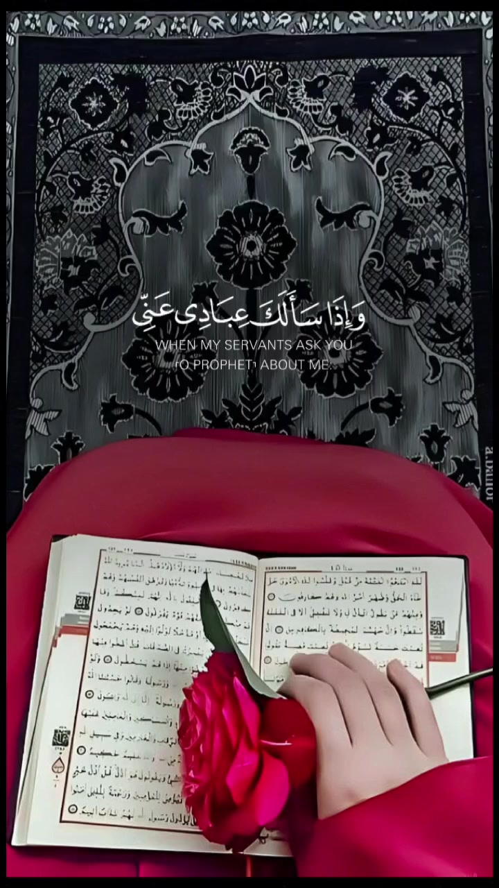 @🌼حياتي اجمل بذكر الله 🌼