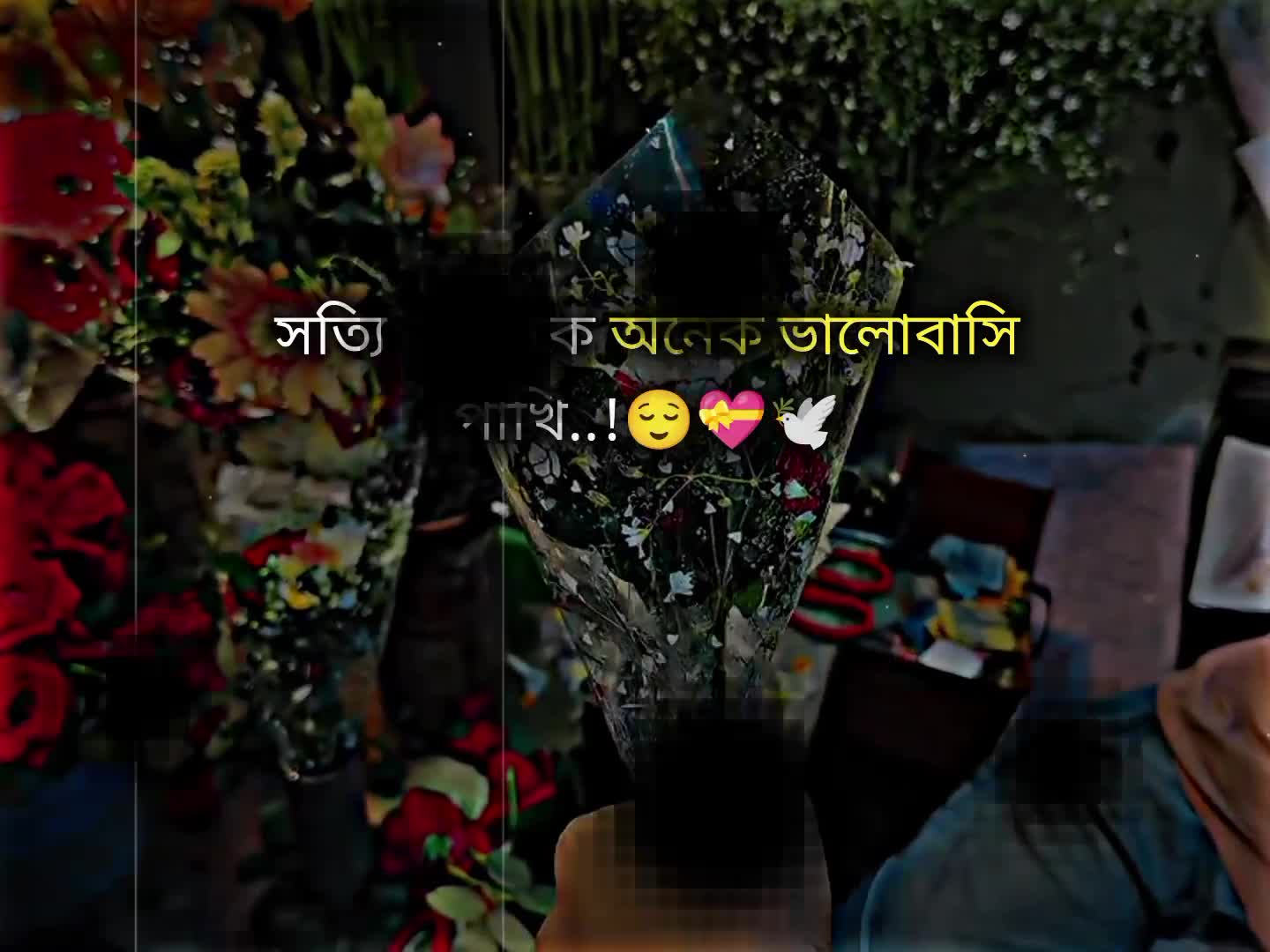 @𝗧𝗮𝗿𝗲𝗸 𝗕𝗵𝗮𝗶𝘆𝗮𝗮'♡︎