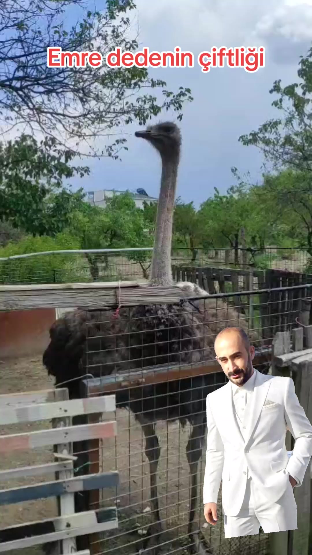 @nefretimsin dünya
