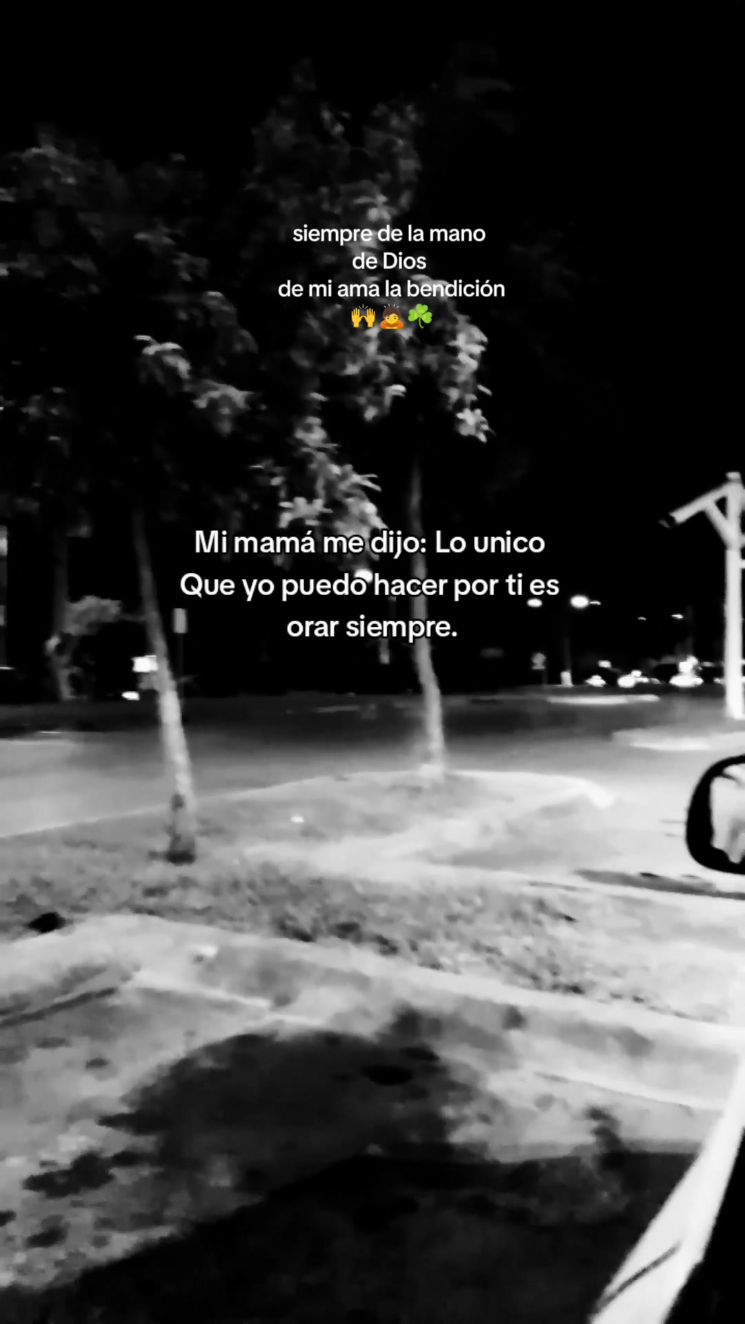 @Delfi Garcia