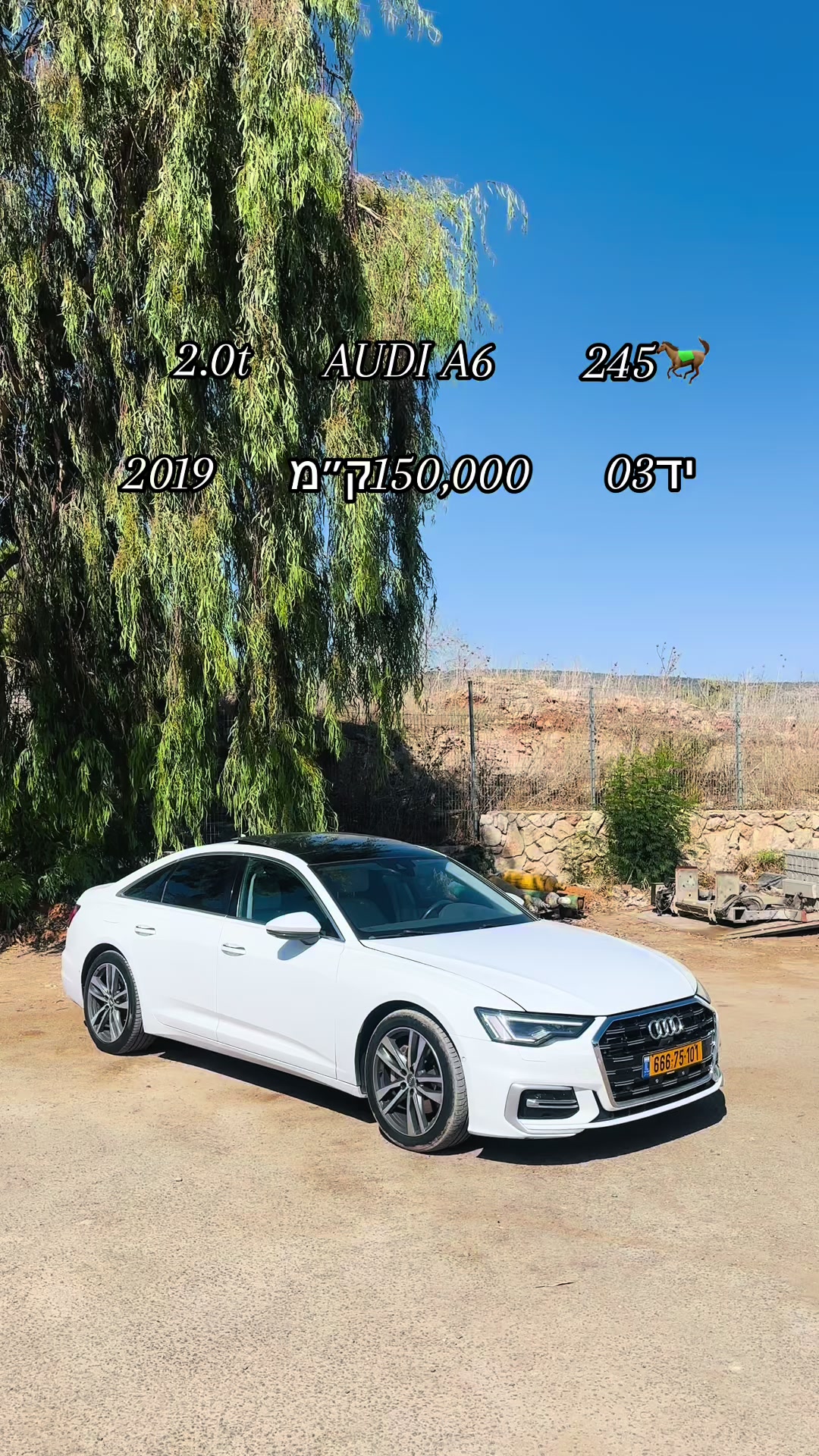 @אמין סאלח