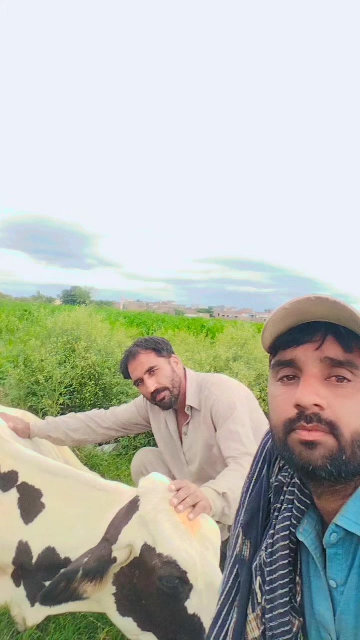 @ikramikram0615