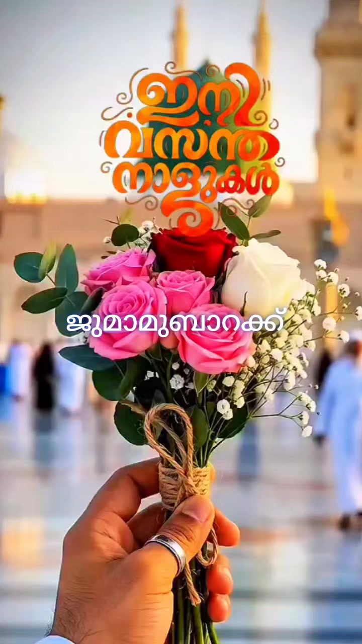 @R̶A̶S̶H̶E̶E̶D̶🌹T̶I̶R̶U̶R̶
